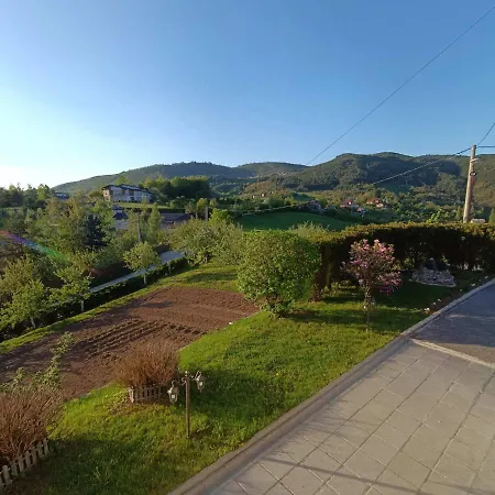 Villa Holiday Home Green